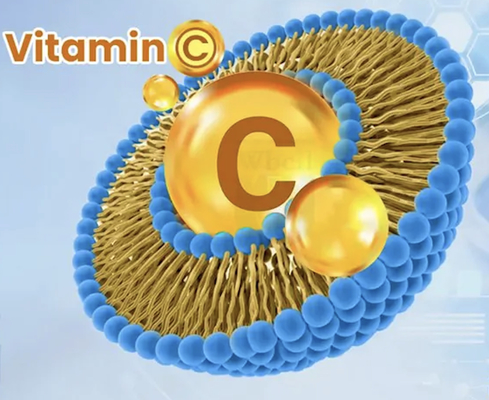 Vitamin C liposomal với khả năng sinh học tăng cường cho bột nước uống rắn và giọt nước